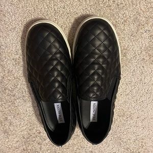 Steve Madden Women's Ecentrcq Sneaker